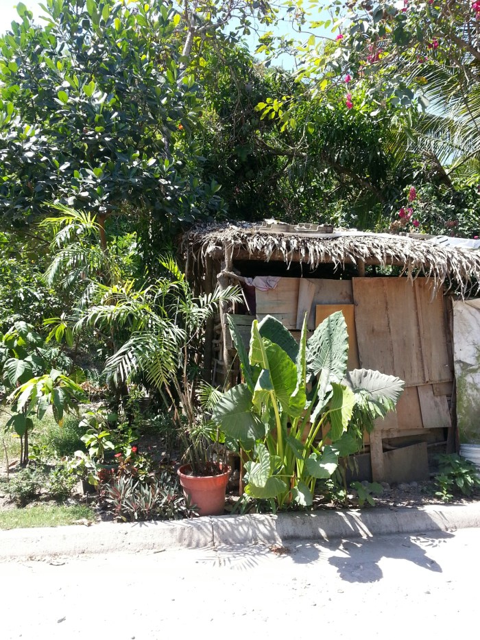 20150507_120330.jpg image